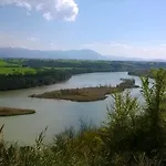 Caracciolo *