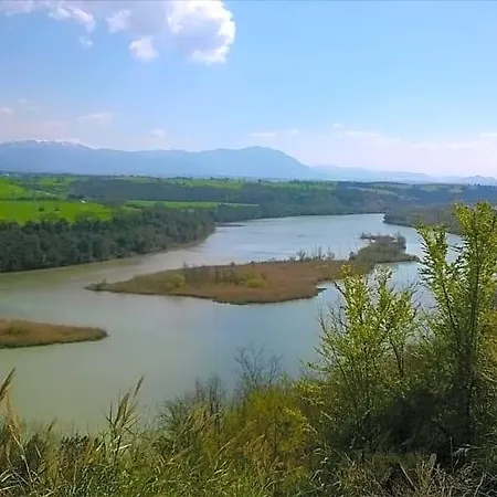 Caracciolo Fiano Romano